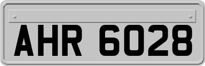 AHR6028