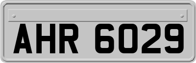 AHR6029