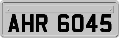 AHR6045