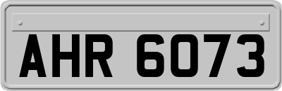 AHR6073