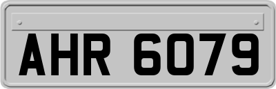 AHR6079