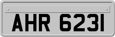 AHR6231