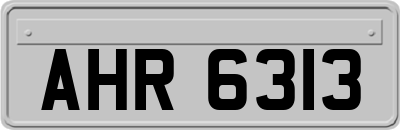 AHR6313