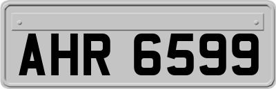AHR6599