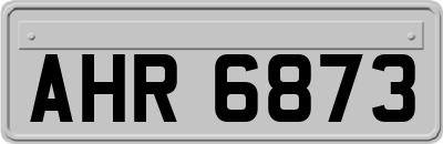 AHR6873
