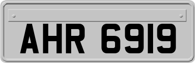 AHR6919