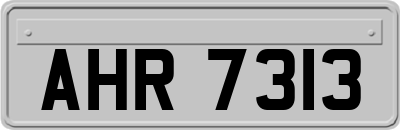AHR7313
