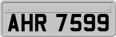 AHR7599