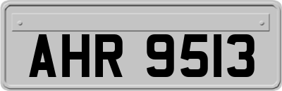 AHR9513