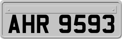 AHR9593