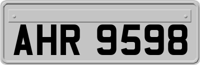 AHR9598