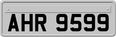 AHR9599