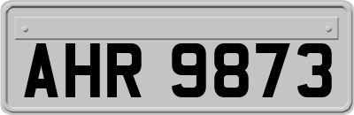 AHR9873