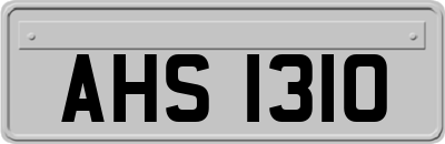 AHS1310