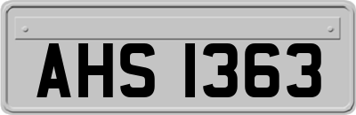 AHS1363