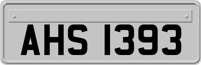 AHS1393