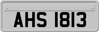 AHS1813