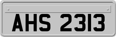 AHS2313