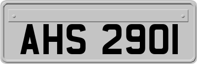 AHS2901