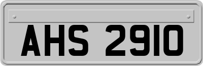 AHS2910