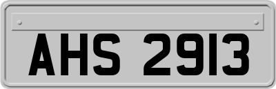 AHS2913