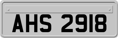 AHS2918