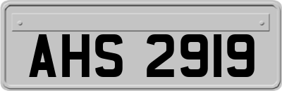 AHS2919