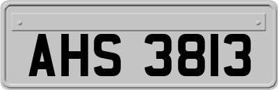 AHS3813