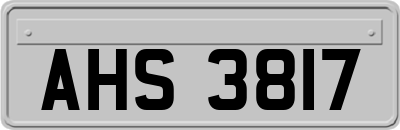 AHS3817
