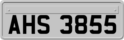 AHS3855