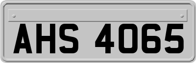 AHS4065