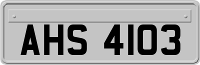 AHS4103