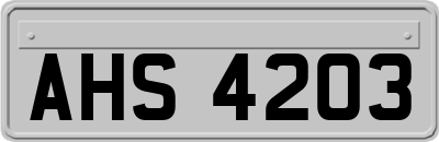 AHS4203