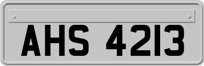 AHS4213