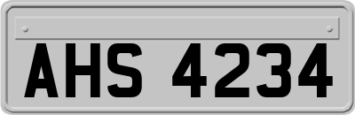 AHS4234