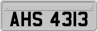 AHS4313