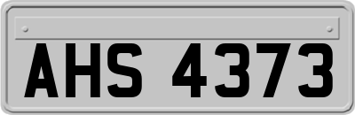 AHS4373