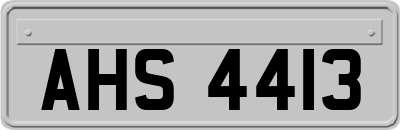 AHS4413
