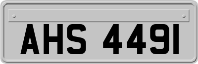 AHS4491