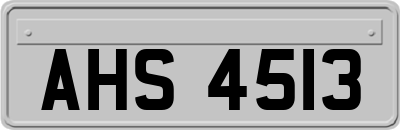 AHS4513