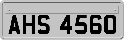 AHS4560