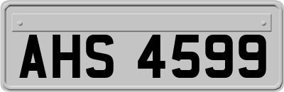 AHS4599