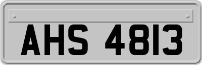 AHS4813
