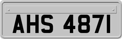 AHS4871