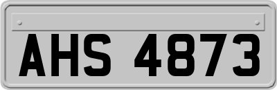 AHS4873