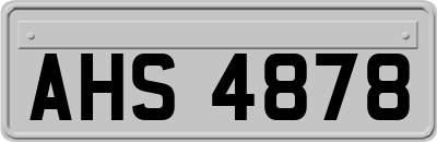 AHS4878
