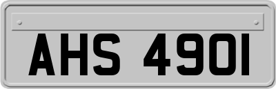 AHS4901