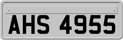 AHS4955