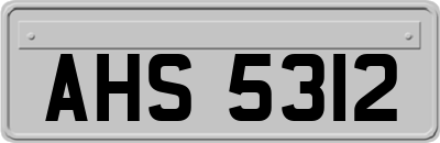 AHS5312