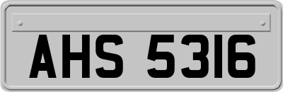 AHS5316